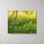 Spring Daffodils Canvas Afdruk (Voorkant)