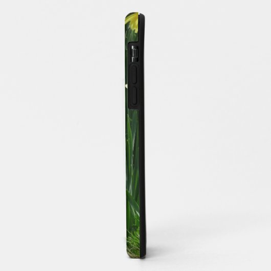 Spring Daffodils Case-Mate iPhone Case (Achterkant/links)
