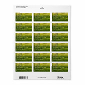 Spring Daffodils Etiket (Full Sheet)