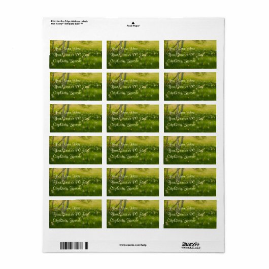 Spring Daffodils Etiket (Full Sheet)