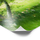 Spring Daffodils Foto Afdruk (Hoek)