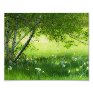 Spring Daffodils Foto Afdruk