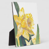 Spring Daffodils Fotoplaat (Zijkant)