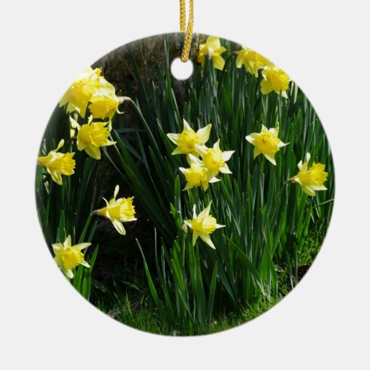 Spring Daffodils Keramisch Ornament (Voorkant)