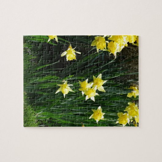 Spring Daffodils Legpuzzel (Horizontaal)