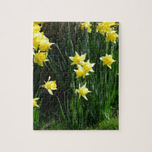 Spring Daffodils Legpuzzel
