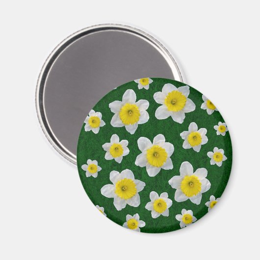 Spring Daffodils Magneet (Voorkant / Achterkant)