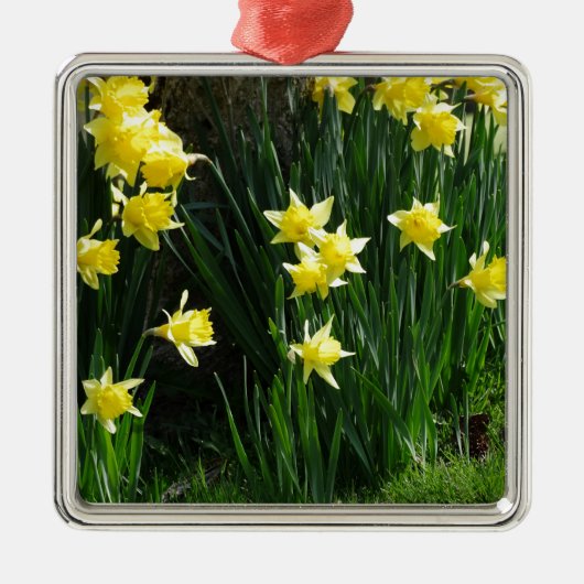Spring Daffodils Metalen Ornament (Voorkant)