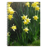 Spring Daffodils Notitieboek (Voorkant)