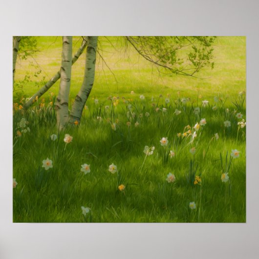 Spring Daffodils Poster (Voorkant)