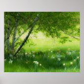 Spring Daffodils Poster (Voorkant)