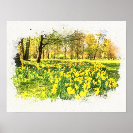 Spring Daffodils Poster (Voorkant)