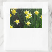 Spring Daffodils Rechthoekige Sticker (Tas)
