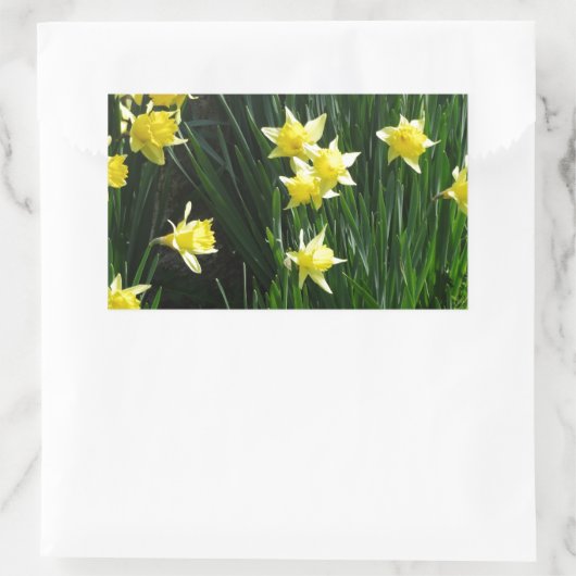 Spring Daffodils Rechthoekige Sticker (Tas)