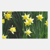 Spring Daffodils Rechthoekige Sticker (Voorkant)