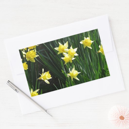 Spring Daffodils Rechthoekige Sticker (Envelop)