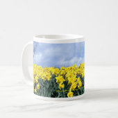 Spring daffodils, Shrewsbury, Shropshire, Engeland Koffiemok (Voorkant links)