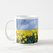 Spring daffodils, Shrewsbury, Shropshire, Engeland Koffiemok (Links)