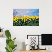 Spring daffodils, Shrewsbury, Shropshire, Engeland Poster (Thuiskantoor)