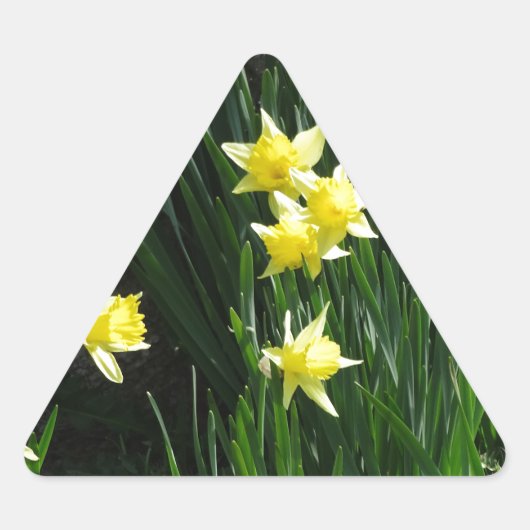 Spring Daffodils Sticker (Voorkant)