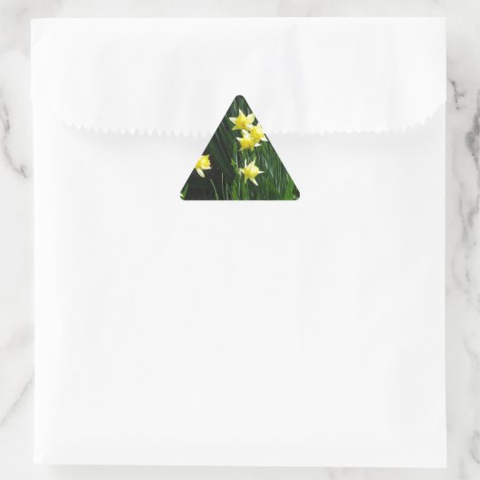 Spring Daffodils Sticker (Tas)