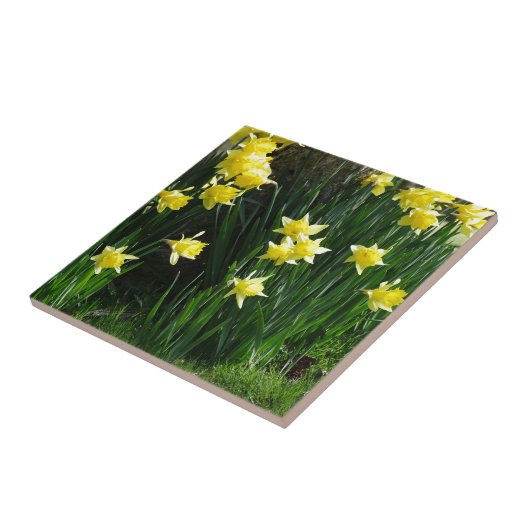 Spring Daffodils Tegeltje (Zijkant)