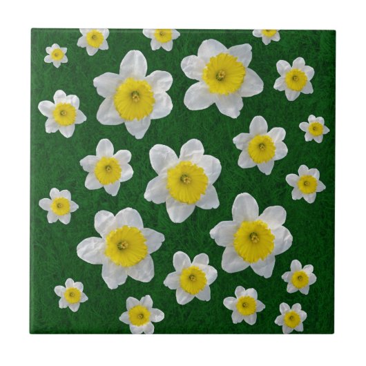 Spring Daffodils Tegeltje (Voorkant)