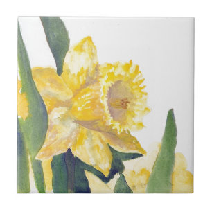 Spring Daffodils Tegeltje