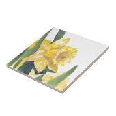 Spring Daffodils Tegeltje (Zijkant)
