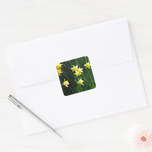 Spring Daffodils Vierkante Sticker (Envelop)