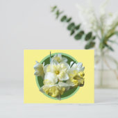 Spring Daffodils White Yellow Narcissus Flowers Briefkaart (Staand voorkant)