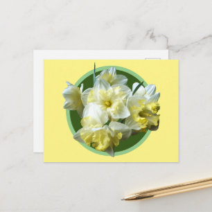 Spring Daffodils White Yellow Narcissus Flowers Briefkaart