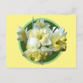 Spring Daffodils White Yellow Narcissus Flowers Briefkaart (Voorkant)