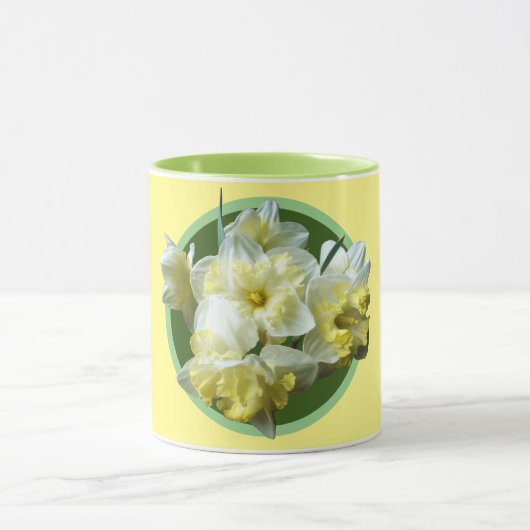 Spring Daffodils White Yellow Narcissus Flowers Mok (Midden)