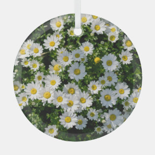 Spring Daisy Field: Serene achtergrond Glas Ornament