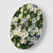 Spring Daisy Field: Serene achtergrond Grote Klok (Hoek)