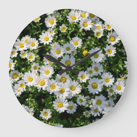 Spring Daisy Field: Serene achtergrond Grote Klok (Voorkant)