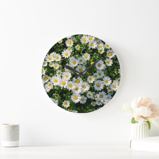 Spring Daisy Field: Serene achtergrond Grote Klok (Huis)