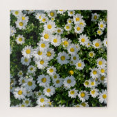 Spring Daisy Field: Serene achtergrond Legpuzzel (Horizontaal)