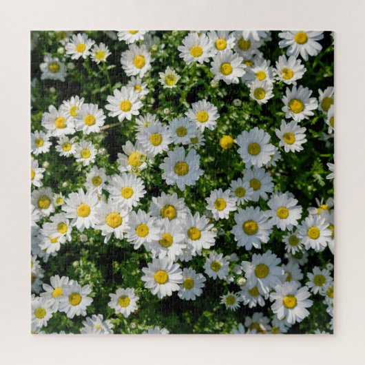 Spring Daisy Field: Serene achtergrond Legpuzzel (Verticaal)