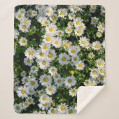 Spring Daisy Field: Serene achtergrond Sherpa Deken (Voorkant)