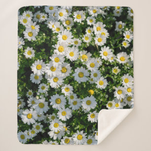 Spring Daisy Field: Serene achtergrond Sherpa Deken