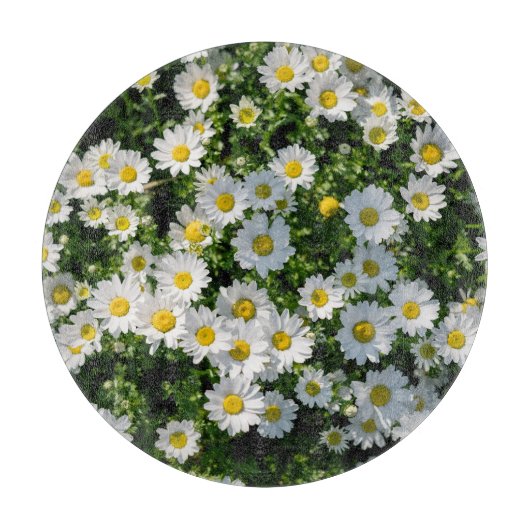 Spring Daisy Field: Serene achtergrond Snijplank (Voorkant)