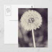 Spring Dandelion Briefkaart (Voorkant / Achterkant)