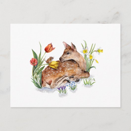 Spring Deer Briefkaart (Voorkant)