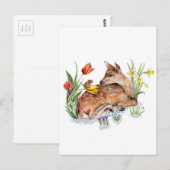 Spring Deer Briefkaart (Voorkant / Achterkant)