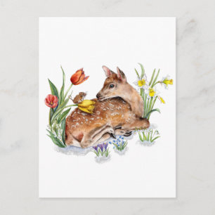 Spring Deer Briefkaart