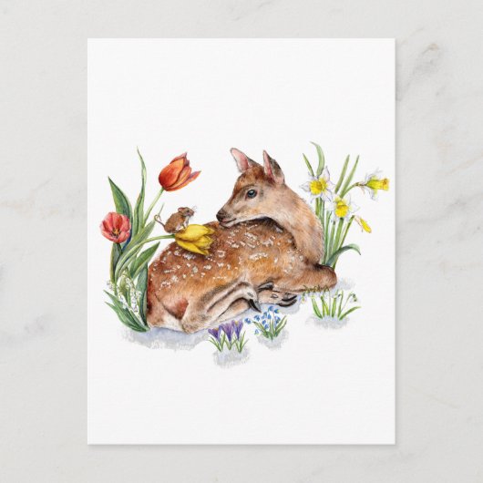 Spring Deer Briefkaart (Voorkant)