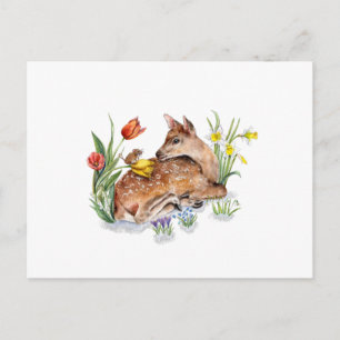 Spring Deer Briefkaart