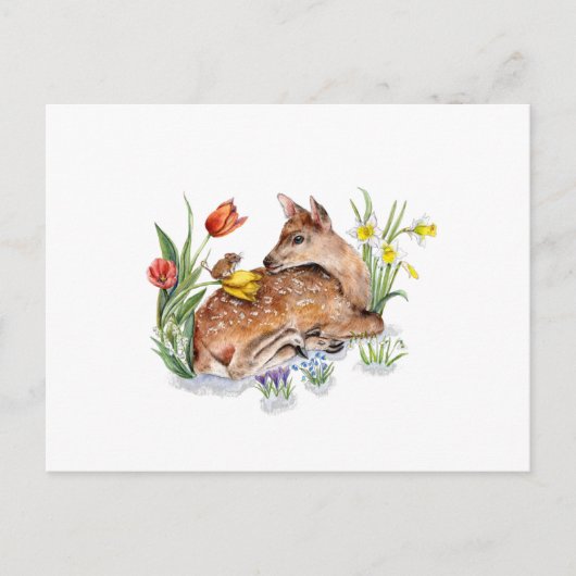 Spring Deer Briefkaart (Voorkant)